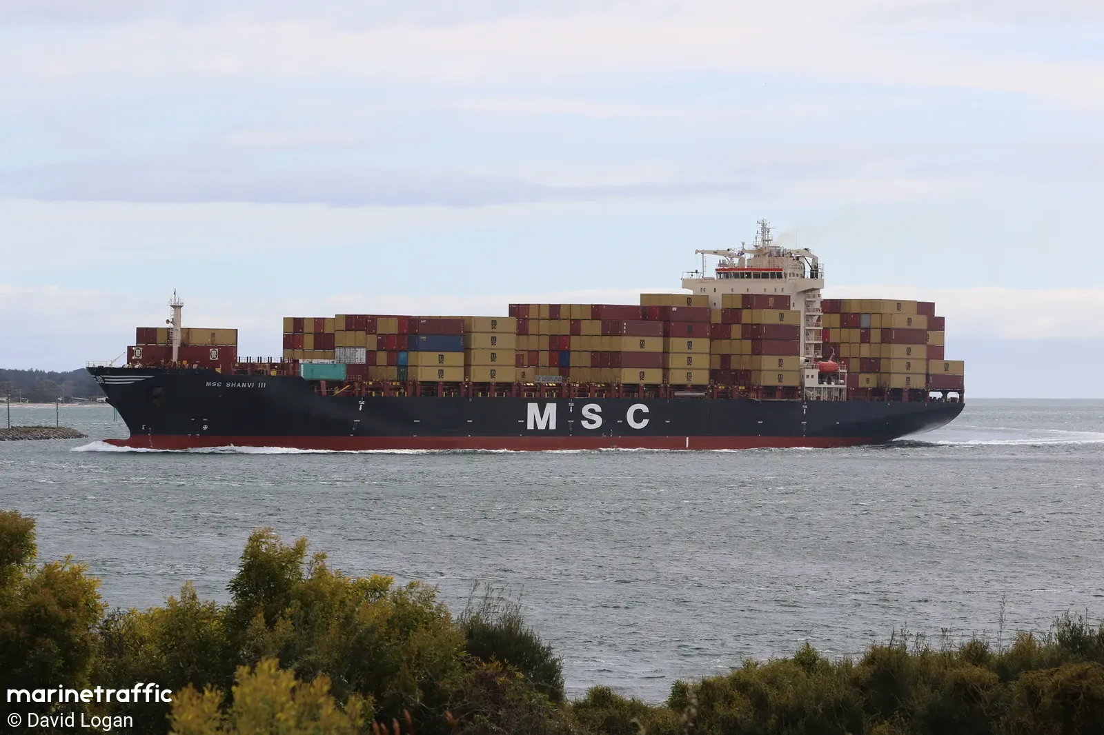 MSC Shanvi III
